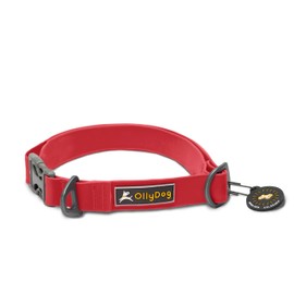 OllyDog Tilden Collar, Waterproof Dog Collar with Quick Release Buckle, Coated Stink-Proof Webbing, Lightweight Collar for Large, Medium and Small Dogs (Medium, Red)
