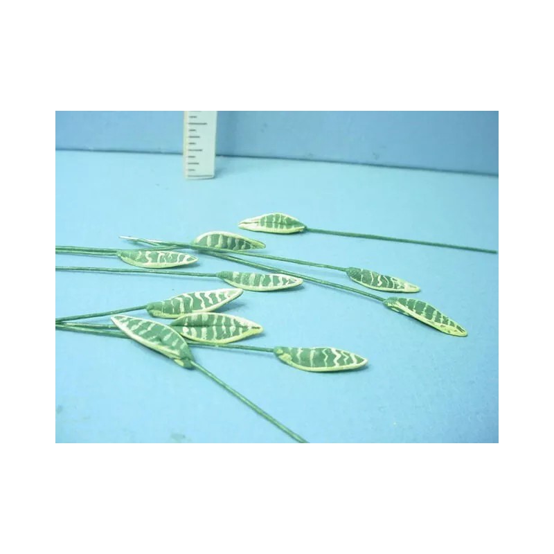 Bright Delights Miniature Green & Yellow Aloe Vera Leaves (10)