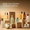 L'OCCITANE - Almond (Amande Sublime) Suppleness Oil - 100 ml