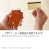 Pass Case, Vertical Pass Case, Made in Japan, Tochigi Leather,