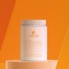 Bolayon Latinix powder modeling pack 500g + pack tool +