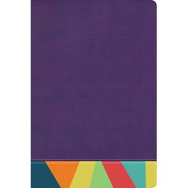 RVR 1960 Biblia de Estudio Arcoiris, morado/multicolor/ Rainbow Study Bible RVR 1960 Purple/multicolor LeatherTouch (Spanish Edition)