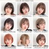 Bright Lara hf1842-CR Women's Wig, Bob, Inner Color, Natural, Full