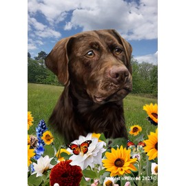 Chocolate Labrador - Best of Breed Spring Flowers Garden Flag