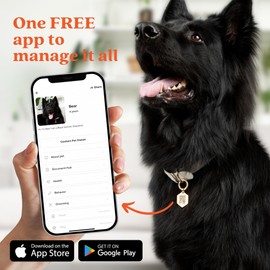 Tailr Classic QR Pet ID Tag, Small Gold-Plated, Military-Grade Steel, for Pets Under 25 lbs (Small), Includes Free Pet Management App