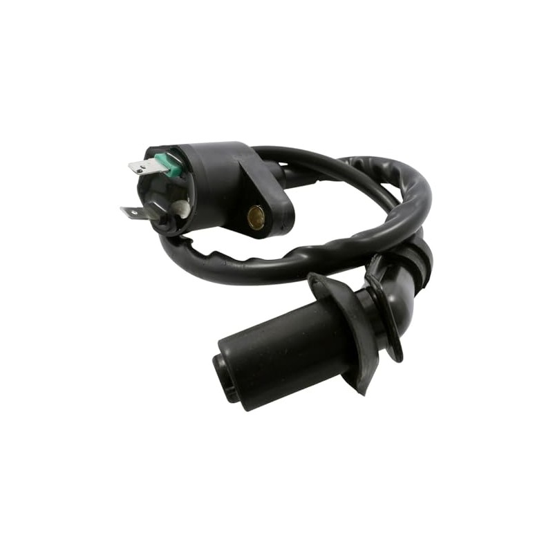 Ignition Coil 12 V Compatible with YIBEN YB50QT-6 50cc, YB50QT-9,