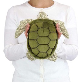 Carolata Green Turtle Plush Animal, Size M, 13.8 x 3.9 x 11.8 inches (35 x 10 x 30 cm), Realistic Toy, For Kids, Sea Creatures, Animal Gift