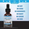 Balanced Pet Collagen for Dogs - Skin and Coat for