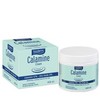 Boderm Calamine Cream 12% 400ml