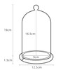 Lights4fun Regular Glass Cloche Bell Jar Dome with Grey Bamboo