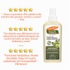 Palmer´s Olive Oil Formula Shine Therapy Aceite para Cabello y