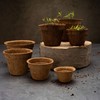 HappySeed 10 x Coconut Propagation Pots & Swelling Tablets Peat-Free
