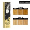 Pulp Riot High Speed Toner 3 oz (GOLDEN SHIMMER)