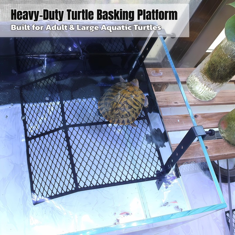 Large Turtle Basking Platform,11in*11in*1.6in, Heavy Duty