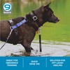 Blue-9 Dog Training Leash, 9 Inch Tab Lead for Obedience,