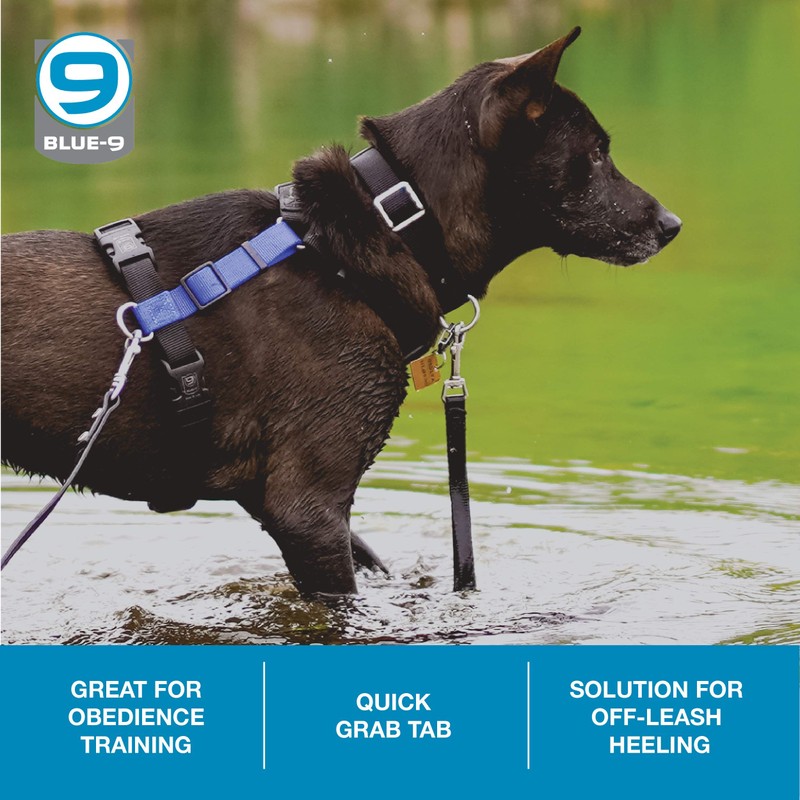 Blue-9 Dog Training Leash, 9 Inch Tab Lead for Obedience,