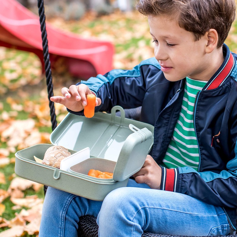 Koziol Lunch Box with Separator PASCAL L, organic grey 3152670