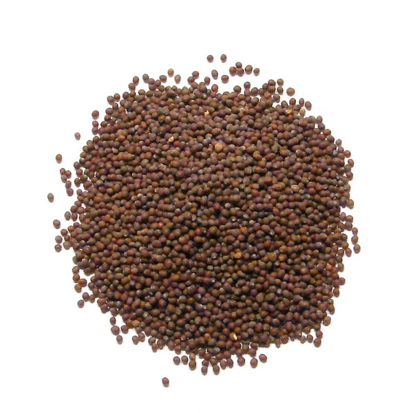 Brown Mustard Seed, Whole - 1/2 Pound ( 8 ounces ) - North American Harvested Brown Mustard Spice by Denver Spice
