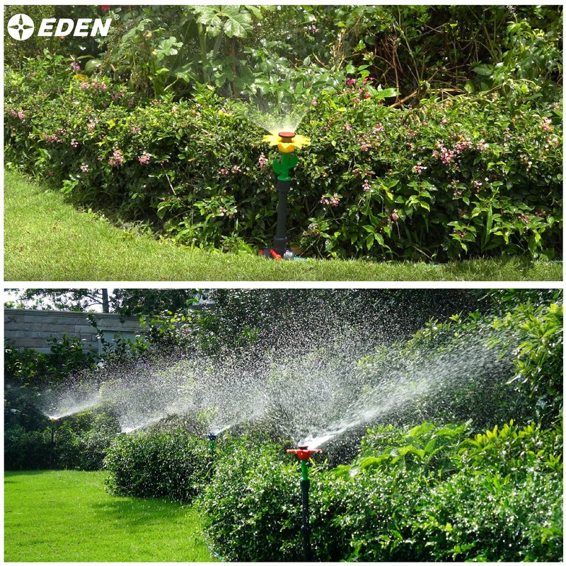 Eden 97065 Daisy Above-Ground 50 Ft Garden Hose and Sprinkler
