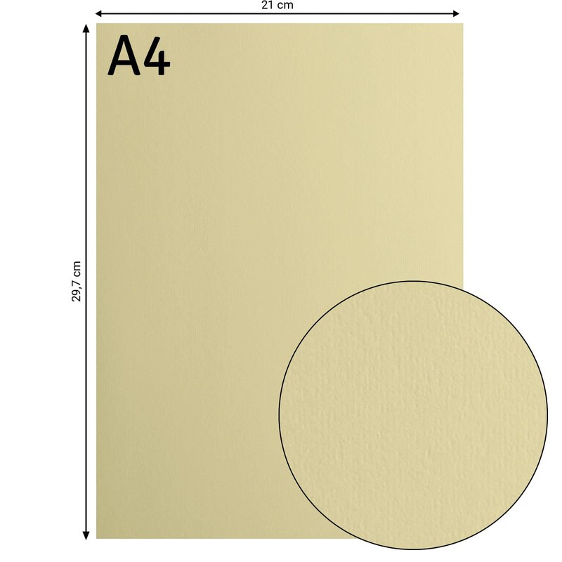 Vaessen Creative Florence Smooth Cardstock, Vanilla Pudding, 216 Grams, A4,
