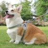 No Pull Dog Harness with Reflective Stripes, Breathable Mesh Padded