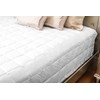 Downtown Feather Classic White Down Blanket (Queen 90" x 96",