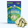 Arctic Farms Freeze Dried Kosher Dill Pickle Slices from Jersey