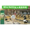16in x 50ft Chicken Wire for Floral Arrangements, Green Chicken