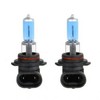 100w Super White 1 Pair of Xenon Super White Head