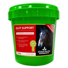 Global Herbs Gut Support (500G)
