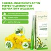 Herbal Diffuser Pen, Detox Diffuser with Mullein, Thyme & Mint