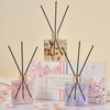 COCORRÍNA Reed Diffuser Set of 3-3 Pack/ 3.04 Fl.oz Diffuser