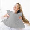 Pamposh Pillow Cases 2 Pack Super Soft Brushed Microfibre Pillow