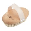 PROFICO Body Massage Brush (Tampico Exclusive Set)