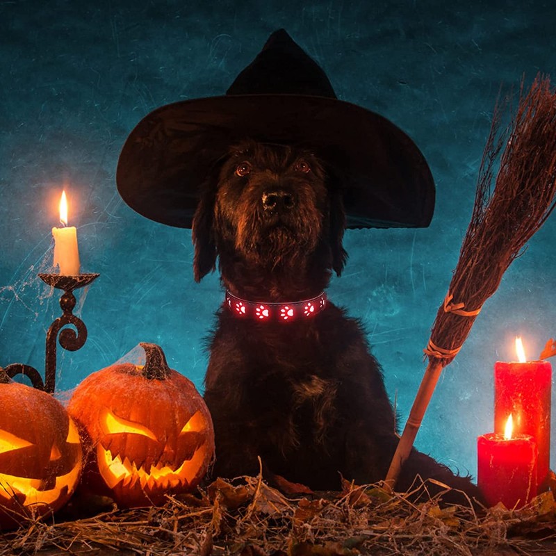 Dog Collar, Dog Collar, Training Collar for Dogs, LED Luminescent