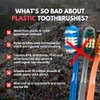 PRIMALS Boar Bristle & Bamboo Toothbrush (4-Pack) - Premium Boar