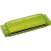 Clearly Colorful Translucent Harmonica, Green