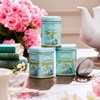 New English Teas Loose Leaf Tea & Infuser Gift Set