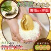 LEC Rice Bitsukumi Gold Rice Crusher (Rice Insect Repellent), 22.0