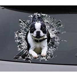 Sticker, Boston Terrier Window Sticker, car Sticker, pet car Decal, Funny Sticker, Cute Pet Car Gift, Dog Decal, Cute Decal, Animal Decal, Pet Car Decal, Pet Vinyl Sticker Decal.