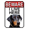 Shawprint BEWARE I LIVE HERE METAL GATE SIGN DOBERMAN PINSCHER