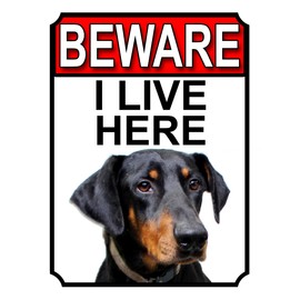 Shawprint BEWARE I LIVE HERE METAL GATE SIGN DOBERMAN PINSCHER 200MM X 10MM (1059H1)