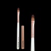Buzel Viewzel Kolinsky Artist Gel Nail Brush + 30 Parts