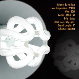 eTopLighting |2pack| 50 Watt Full Spectrum Photography Lighting Photo Studio Light Bulb, 5500K CFL Daylight Balanced