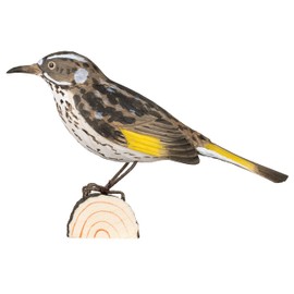 WILDLIFEGARDEN Wildlife Garden WG4806 DecoBird White-Eye Honey Eater - Hand Carved Decorative Wooden Bird - Australian Birds