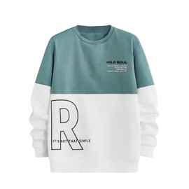 SweatyRocks Men's Letter Graphic Color Block Sweatshirt Long Sleeve Crew Neck Pullover Tops Green S