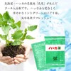 Hot Water Bath Salt, Cool Bath Salt, Kitami Peppermint Yu,