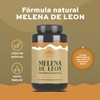 TIBET NATURA - Melena de León - 90 Cápsulas de