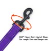 Wagtime Club Soft &Thick Dual Handle 6FT Dog Leash, Premium