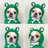 Pet Clothing Dog Transformation Shaped Hoodie (Frog,XL)